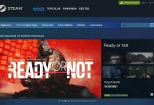 Steam Hesap Değeri Öğrenme